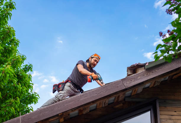 Best Sheet Metal Roofing  in Lawrenceville, VA