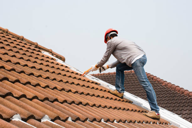Best Rubber Roofing (EPDM, TPO)  in Lawrenceville, VA