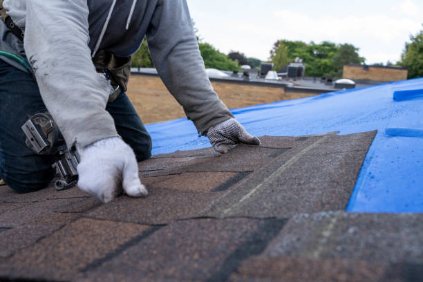 Best Green or Eco-Friendly Roofing Solutions  in Lawrenceville, VA