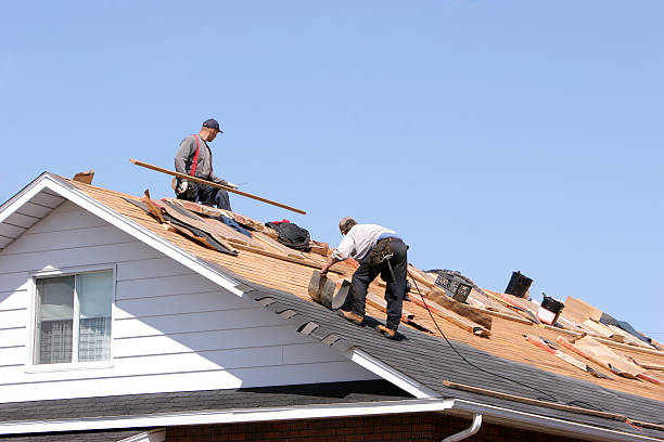 Best Gutter Replacement  in Lawrenceville, VA