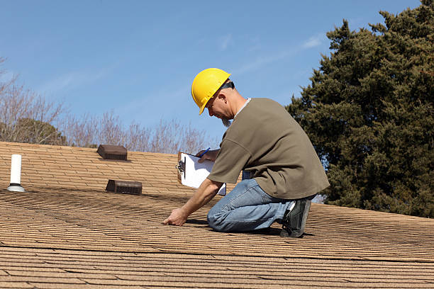 Best Skylight Installation and Repair  in Lawrenceville, VA